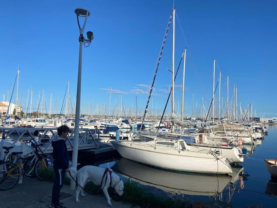 Les Voiles Blanches T2 Luxe A 100M De La Plage ルカート エクステリア 写真
